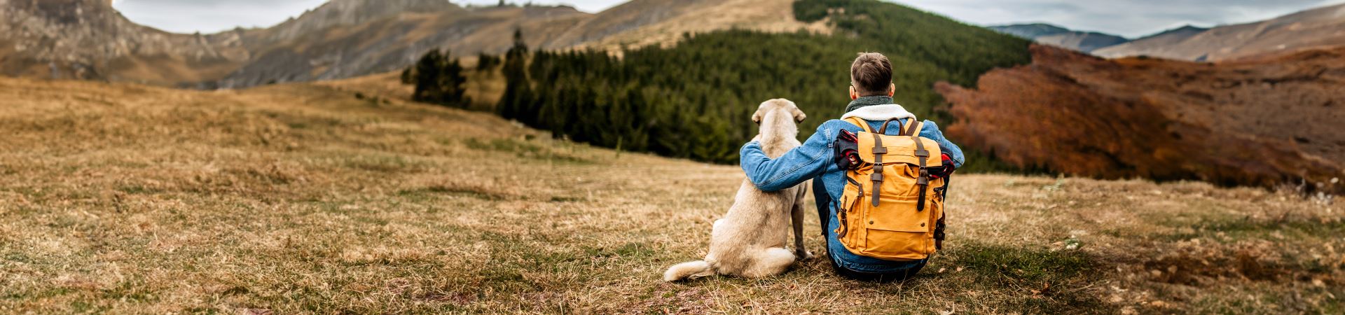 The picture shows a boy sitting with his back turned, and a large dog sitting next to him. They are both enjoying the view of a mountain range. The boy is wearing a backpack and resting his left arm on the dog.