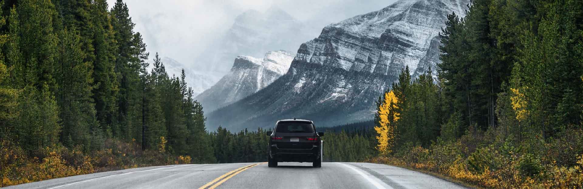 In der Mitte der hintere Teil eines SUV, der auf einer Straße fährt. Das Fahrzeug wird an den Straßenrändern von einer üppigen Vegetation aus hohen, schmalen Bäumen flankiert. Im Hintergrund sind einige Berge zu sehen.