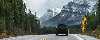 In the center, the rear part of an SUV-type vehicle traveling along a road. It is flanked, on the roadsides, by abundant vegetation of tall, slender trees. In the background, there are some mountains.