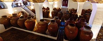 Interior de uma sala na Adega José de Sousa, dentro da qual são visíveis algumas escadinhas de acesso, lateralmente, e uma série de grandes talhas de vinho dispostas de forma alinhada.