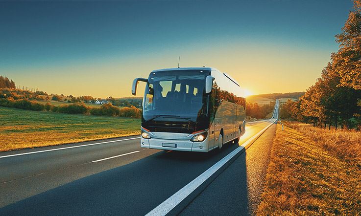 Photograph of a white bus on a road in the middle of a green landscape at sunset. 