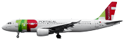 停在地面上的空中客车 A320-200 侧视图。这架飞机是白色的，在顶部和尾舵上有 TAP Air Portugal 的标志。在最后一个窗口上方，可以看到链接 flytap.com。