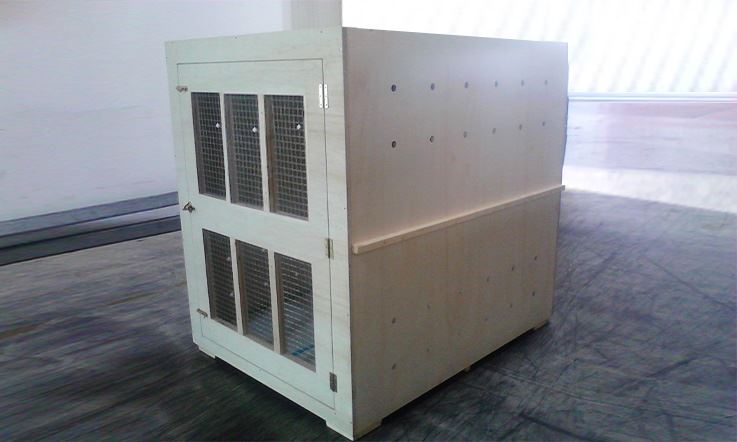 Picture consisting of a wooden carrier, specifically designed for carrying potentially dangerous breeds. This container, called CR82, has a mesh on the front door and is resting on a dark wooden floor.