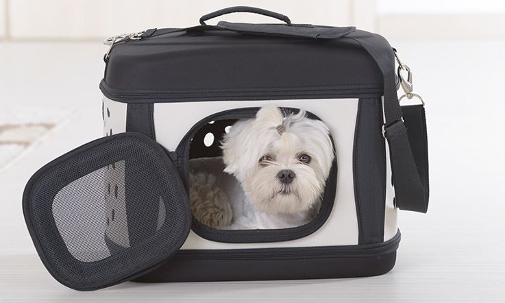 Picture consisting of a white dog inside a gray and black soft carrier. The carrier is resting on a white surface and the side compartment is open, allowing the dog to stick its head out.